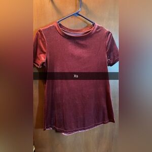 Velvet Short Sleeve Top in Burgundy